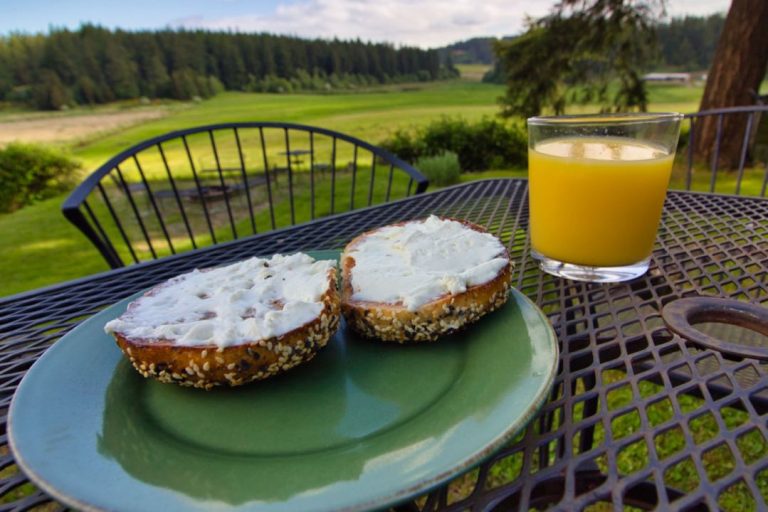 Where to Find the Best Bagels in Montana Montana Discovered