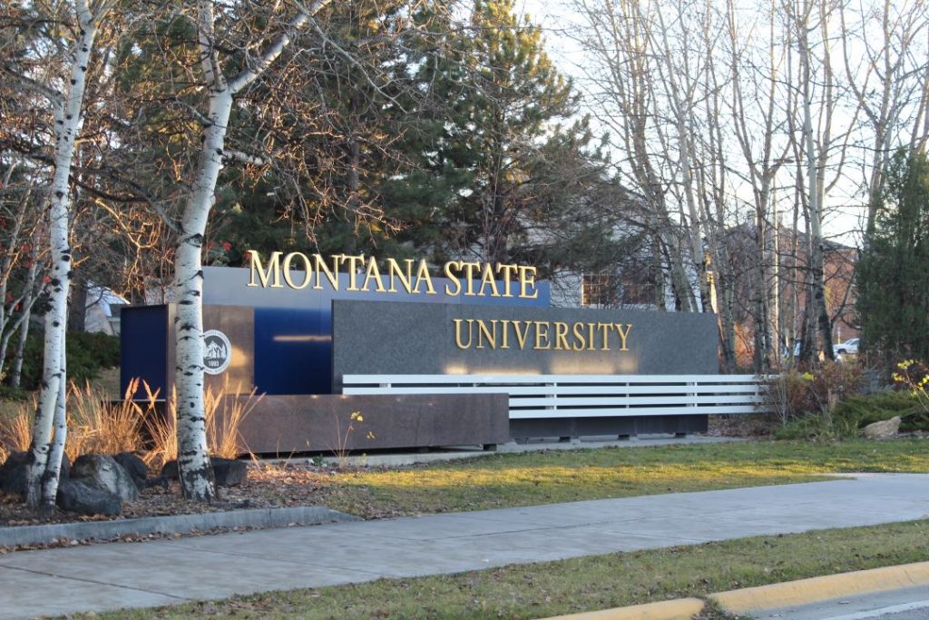 A metal and granite sign saying Montana State University in front of a stand of leafless trees and pines.