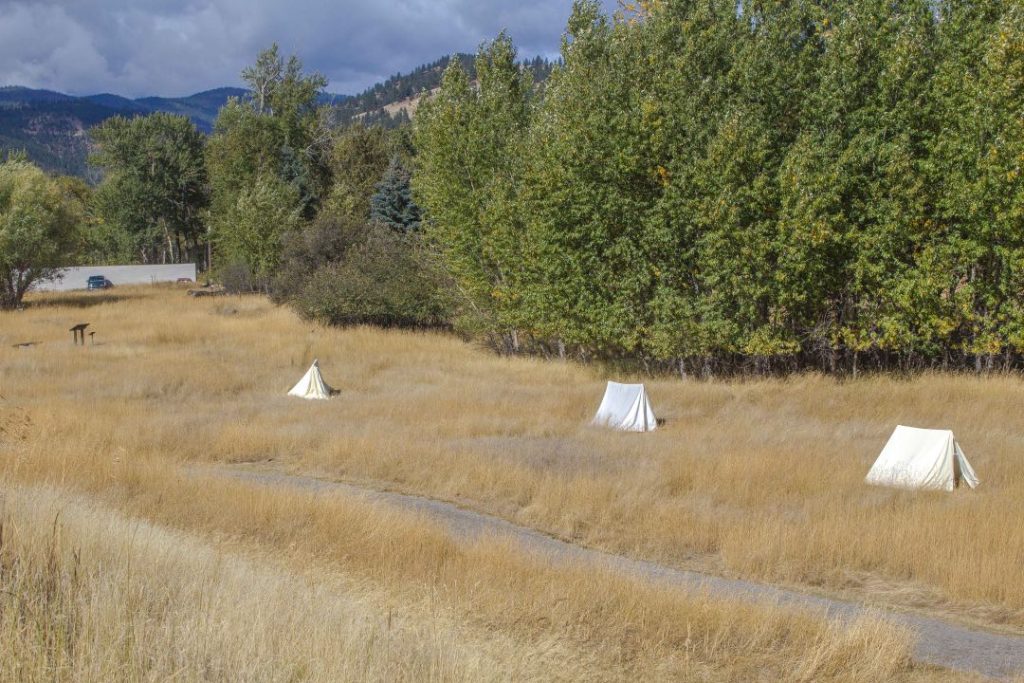 Three white, canvas tents sit in a field of tall, yellow grass. Behind them is a line of leafy trees.