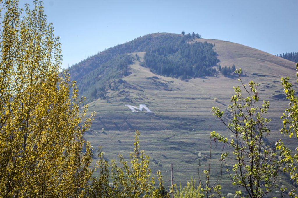 A hillside seen through a gap in some tall bushes has a large, white "M" on it.