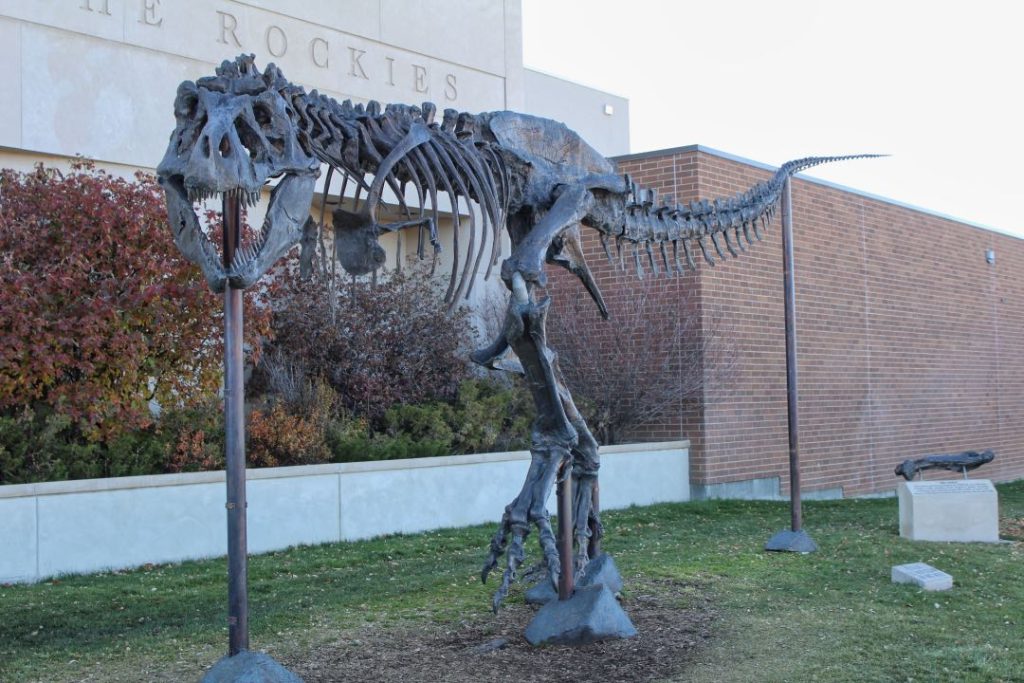 A T-Rex dinosaur skeleton stands outside a brick building.