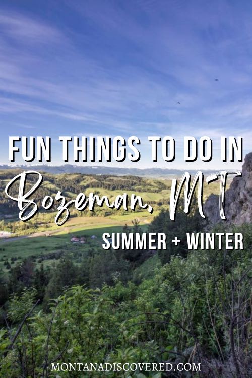 A graphic showing the view from a forested hiking trail with white text saying "Fun things to do in Bozeman, MT: Summer + Winter".