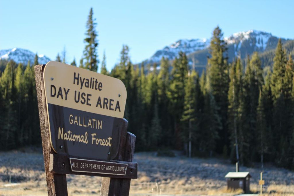 A wooden brown and yellow sign says "Hyalite Day Use Area; Gallatin National Forest". Behind it is a wall of pine trees and some snowy peaks behind them.