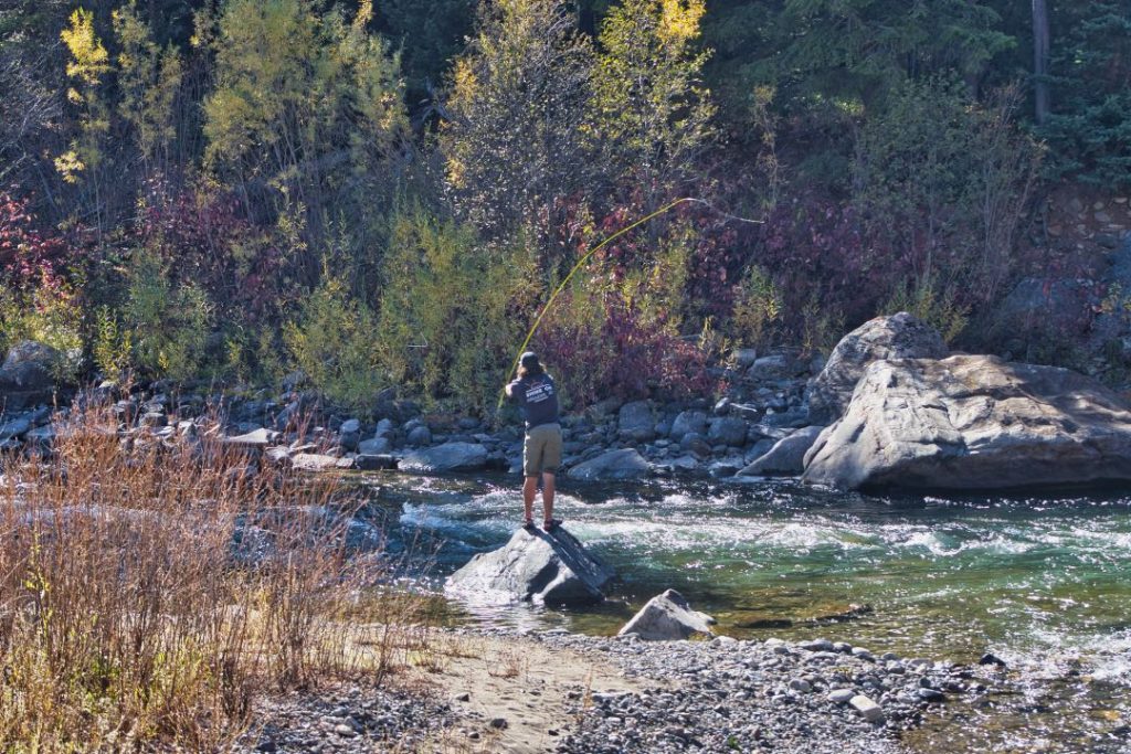 A man in a blue shirt and green shorts stands on a rock and casts a fly fishing line in a fast-moving river.